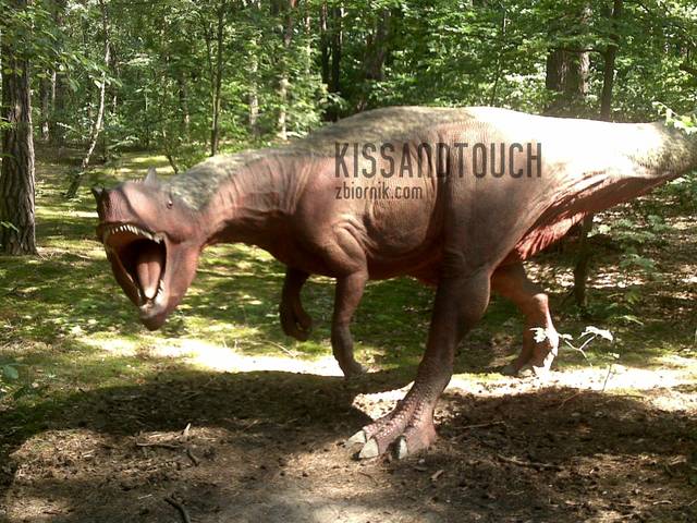 kissandtouch
