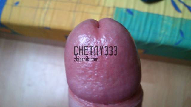 chetny333
