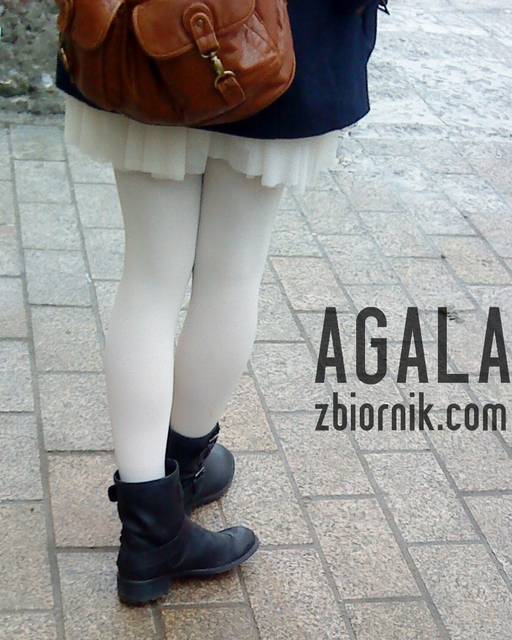 DSC00288kol.jpg - AGALA
