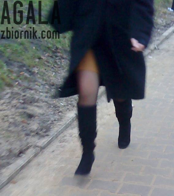 DSC00314cz.jpg - AGALA