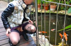 Która to moja złota rybka ?