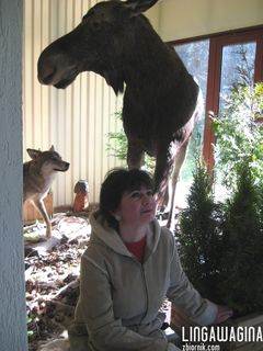 Wycieczka 02.03.13 003.jpg