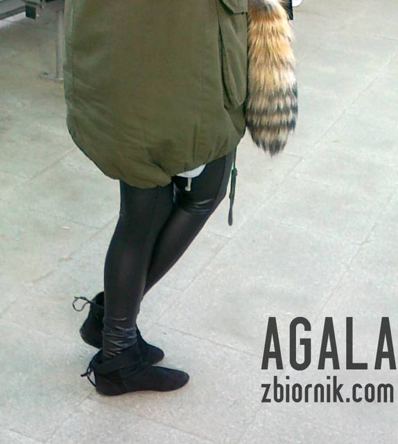 030320133484L.jpg - AGALA