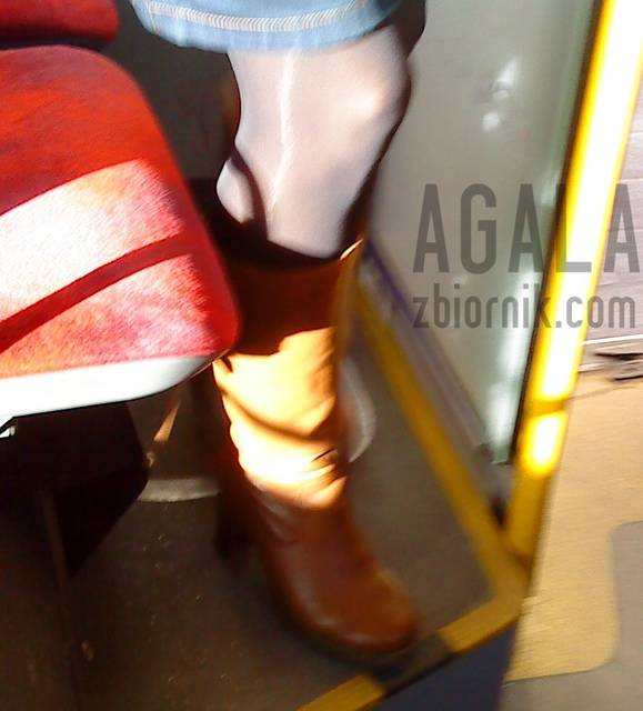 DSC00509va.jpg - AGALA