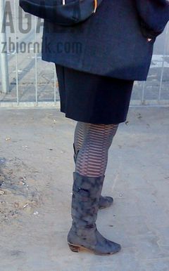 DSC00498odj.jpg