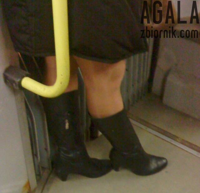 DSC00584kl.jpg - AGALA