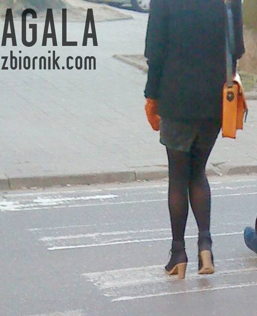 DSC00643cz.jpg - AGALA
