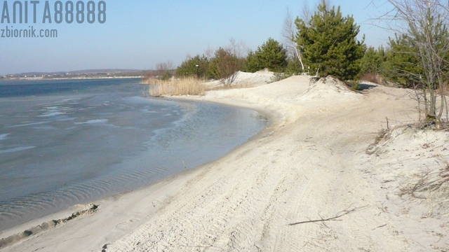 P1140042.JPG - anita88888