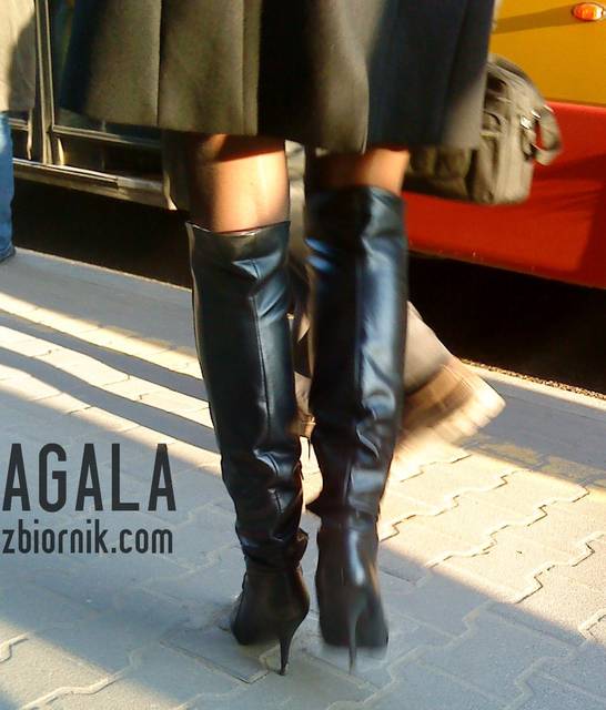 DSC00691cz.jpg - AGALA