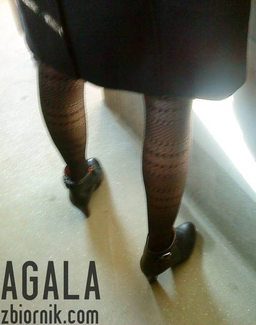 DSC00674odj.jpg - AGALA