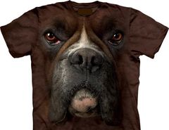 BOXER.jpg