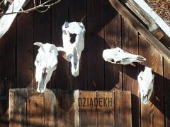 Ciekawe ozdóbki w Chacie Socjologa