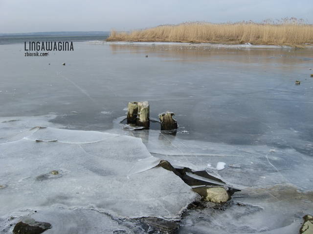 Wycieczka 17.03.13 008.jpg - lingawagina