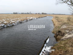 Wycieczka 17.03.13 022.jpg