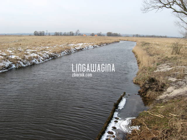 Wycieczka 17.03.13 022.jpg - lingawagina