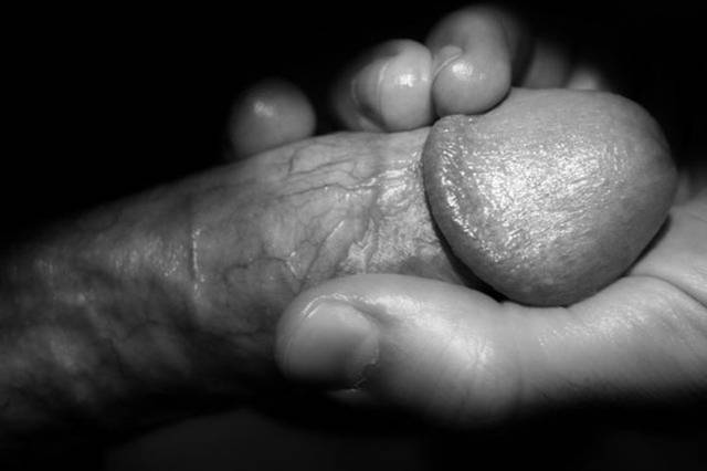 dcm3948.jpg - _adamo