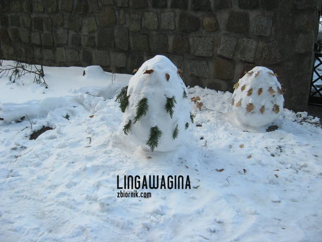 W. 24.03.13 143.jpg - lingawagina