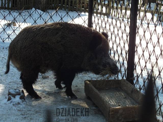 Smacznych świąt - dziadekh