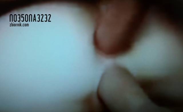 20130330_121323-crop.jpg - no35ona3232