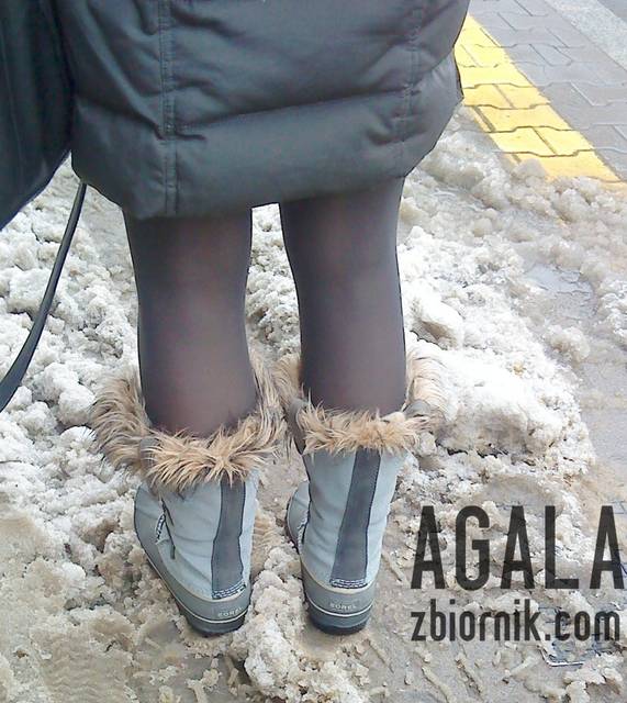 DSC01282v.jpg - AGALA