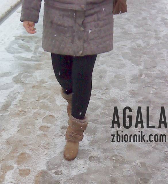 DSC01271L.jpg - AGALA