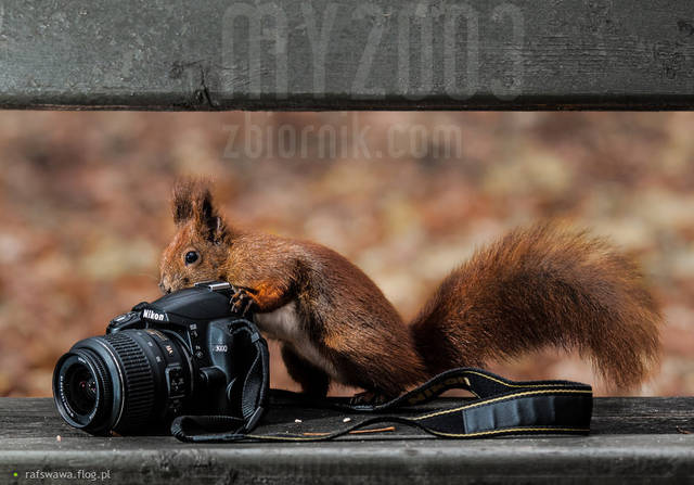 nasz fotograf - My2003