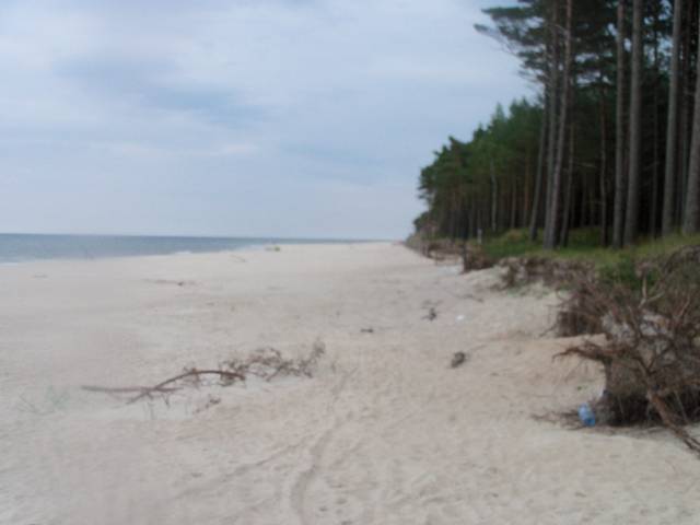 100_0463 — kopia.JPG - debki2012