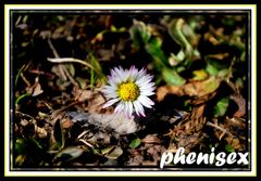 może to już wiosna ...