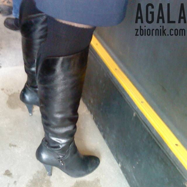 DSC01426odj.jpg - AGALA