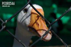 Stop przemocy..........:)