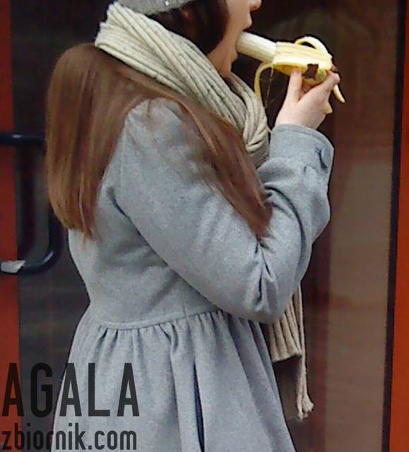 DSC01630v.jpg - AGALA