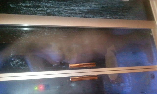 Zdjęcie0023.jpg - parka2633parka