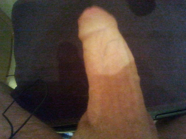 penis - llqqaa