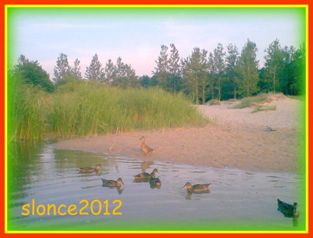 Życie na kanale - slonce2012