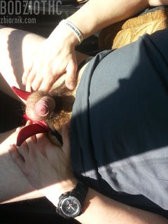 2013-04-16 11.45.49.jpg