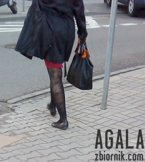 DSC01931odj.jpg - AGALA