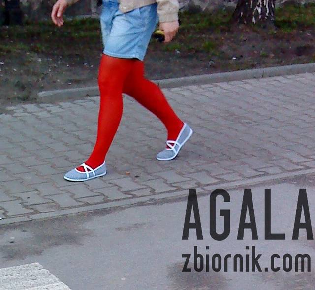 DSC01919kol.jpg - AGALA