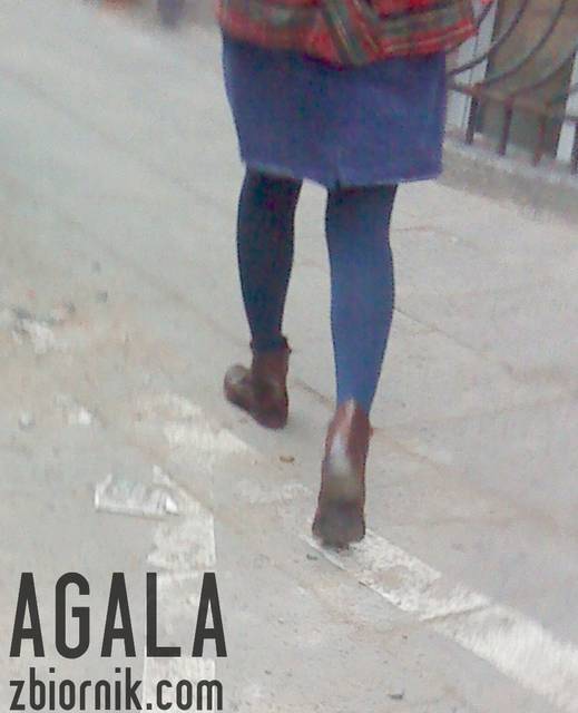 DSC01958kol.jpg - AGALA