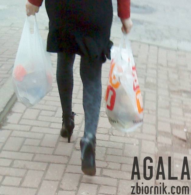 DSC01974odj.jpg - AGALA