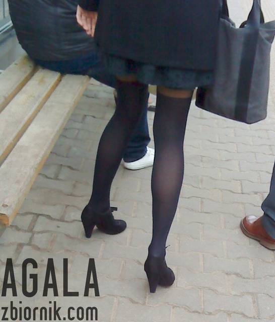DSC01971odj.jpg - AGALA