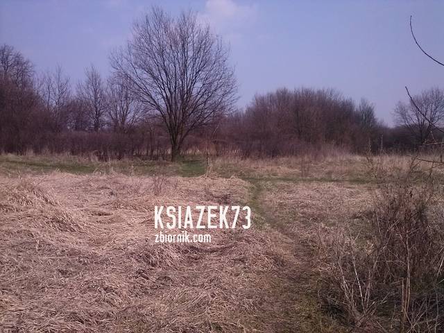 już niedługo - ksiazek73