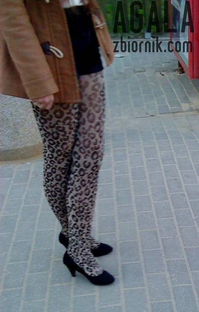 DSC02020odj.jpg - AGALA