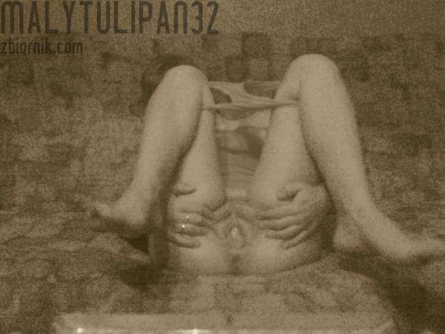 MalyTulipan32