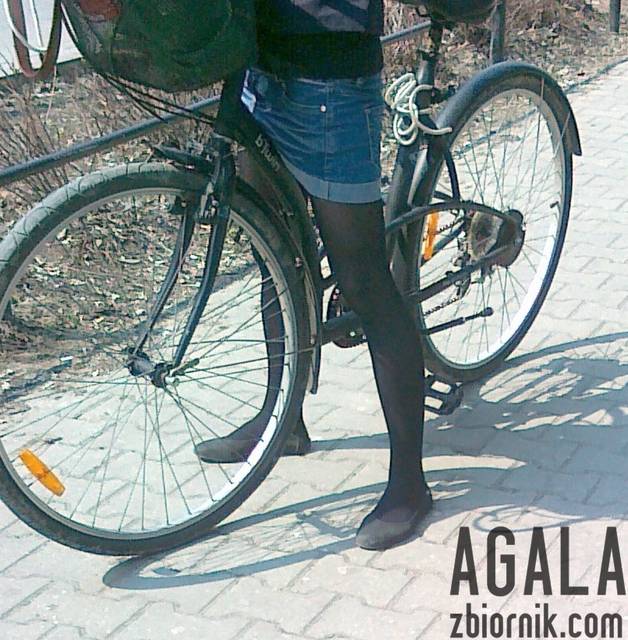 230420133660cz.jpg - AGALA