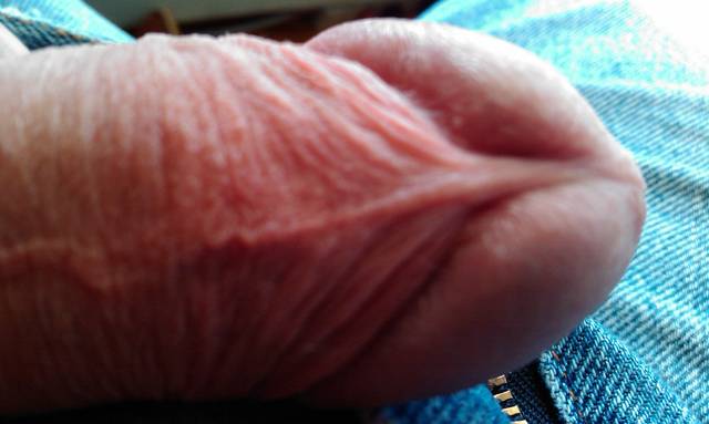 IMAG0119.2.jpg - ny39