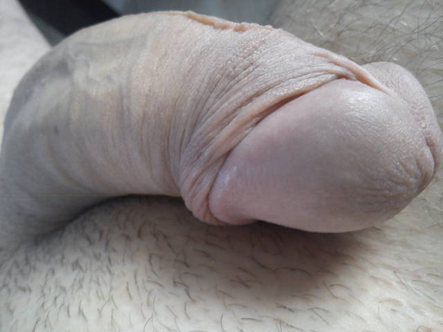 DSC00121.JPG - robin266