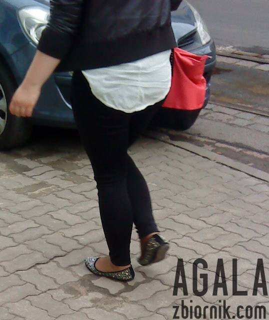 DSC02147L.jpg - AGALA