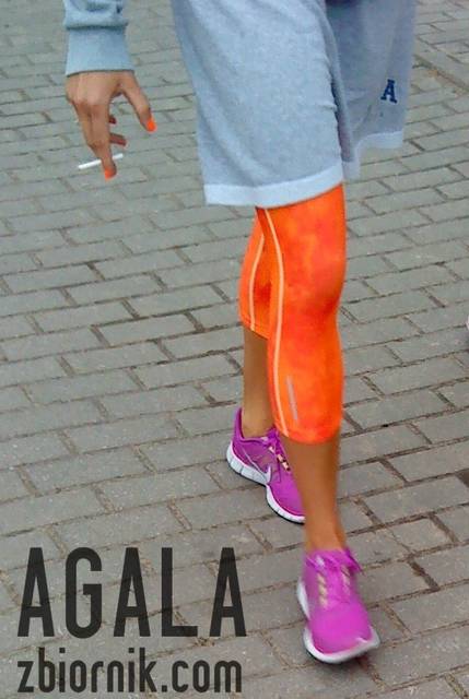 DSC02386L.jpg - AGALA