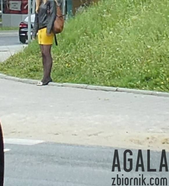 DSCF0962cz.jpg - AGALA