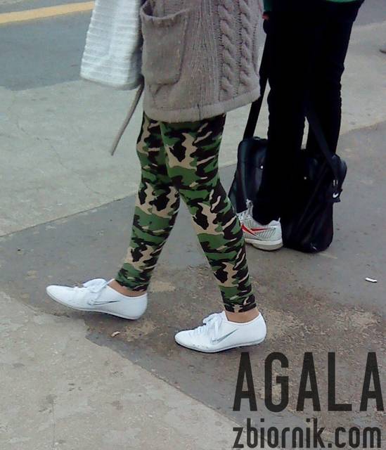 DSC02450L.jpg - AGALA